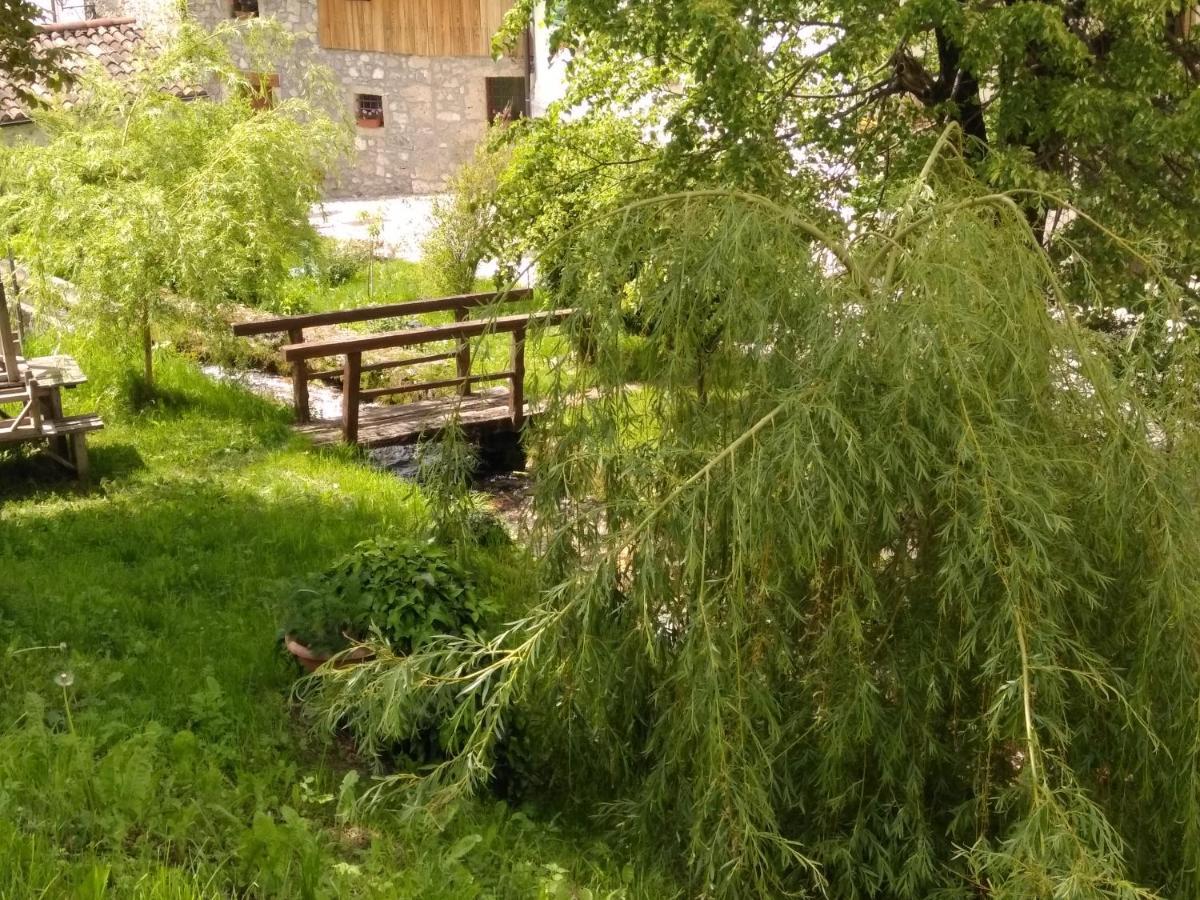 Cjase Di Doro Διαμέρισμα Illegio Εξωτερικό φωτογραφία