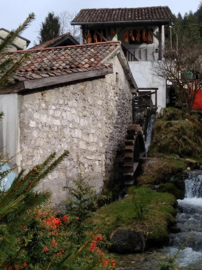 Cjase Di Doro Διαμέρισμα Illegio Εξωτερικό φωτογραφία