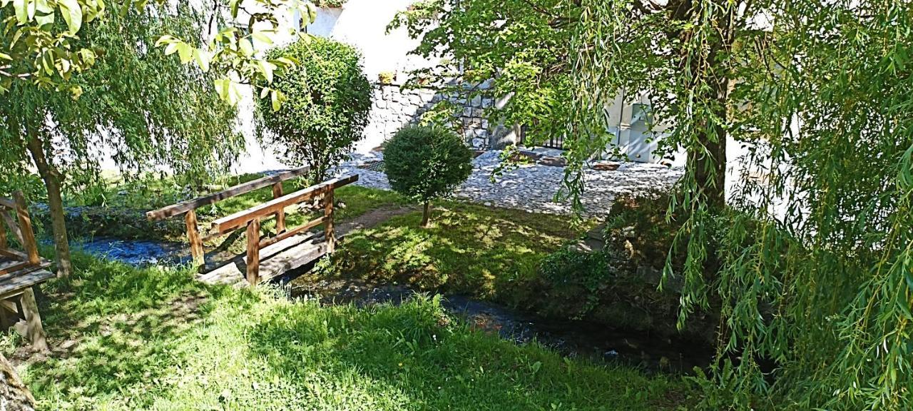 Cjase Di Doro Διαμέρισμα Illegio Εξωτερικό φωτογραφία