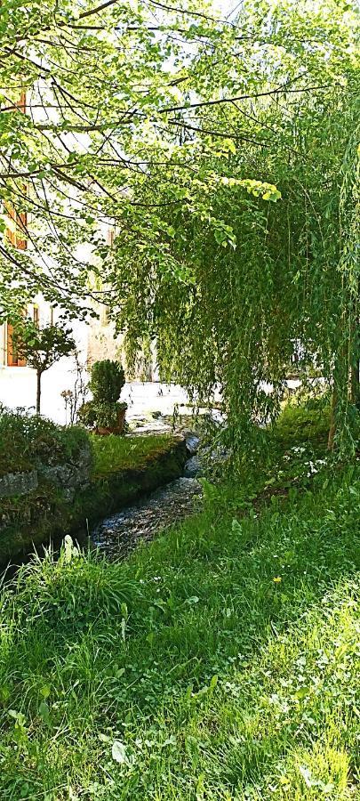 Cjase Di Doro Διαμέρισμα Illegio Εξωτερικό φωτογραφία
