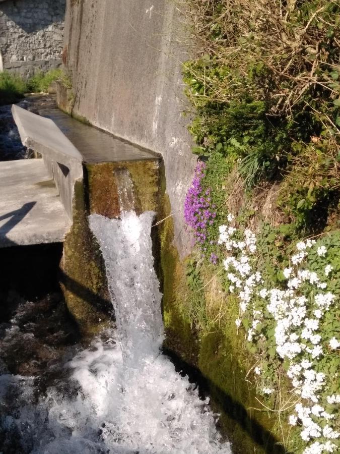Cjase Di Doro Διαμέρισμα Illegio Εξωτερικό φωτογραφία