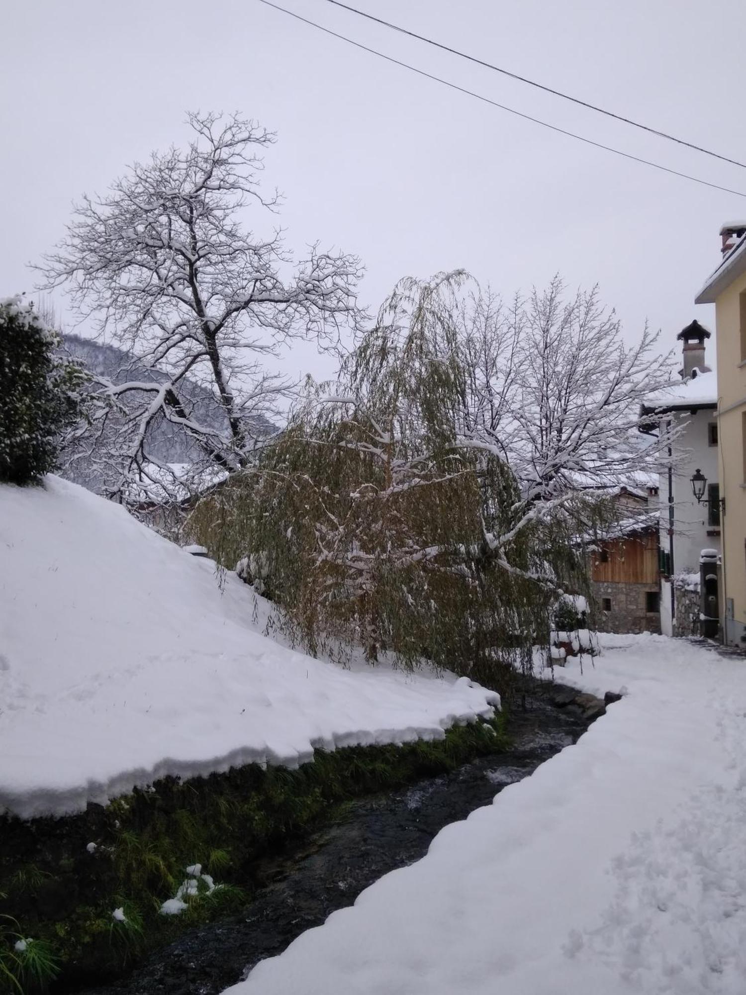 Cjase Di Doro Διαμέρισμα Illegio Εξωτερικό φωτογραφία